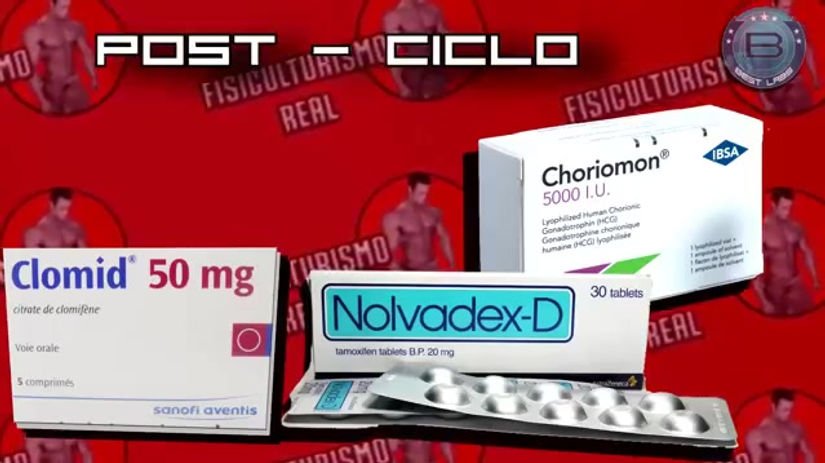 POST CICLO   Como mantener las ganancias